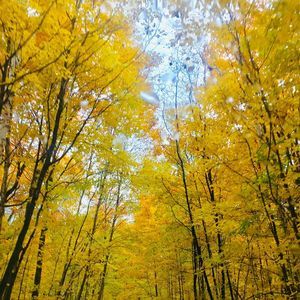 Meet your Posher, Lyn